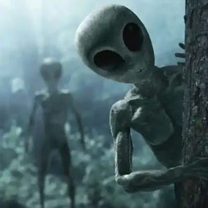 Meet your Posher, Gavin